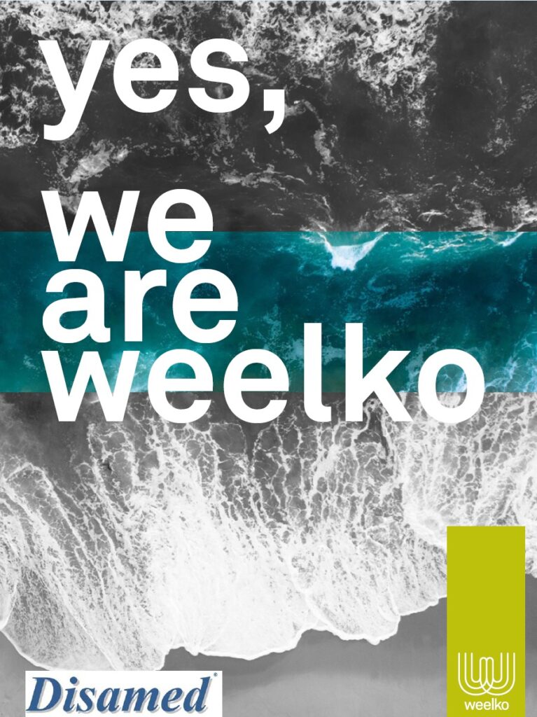 Portada Catálogo Weelko Disamed